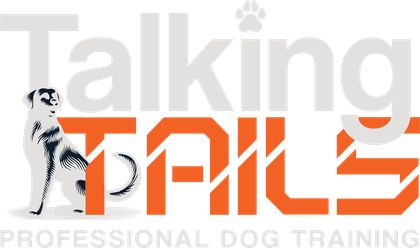 Talking Tails — Professional Dog Training